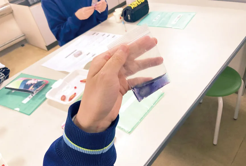 小さな袋に入れた液の色の変化を確かめている手元