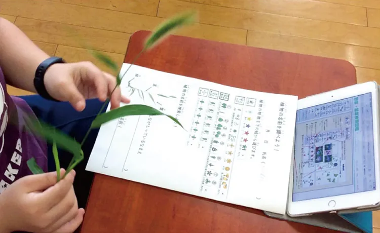 野草雑草検索図鑑を表示したタブレットとワークシートを使い、植物の葉を手に取って調べている様子